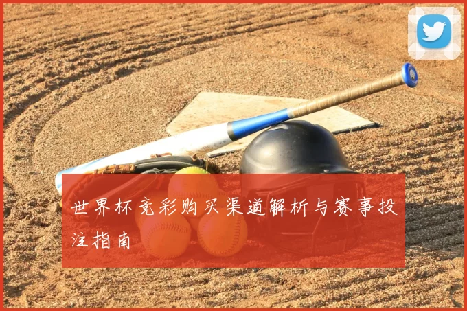 世界杯竞彩购买渠道解析与赛事投注指南