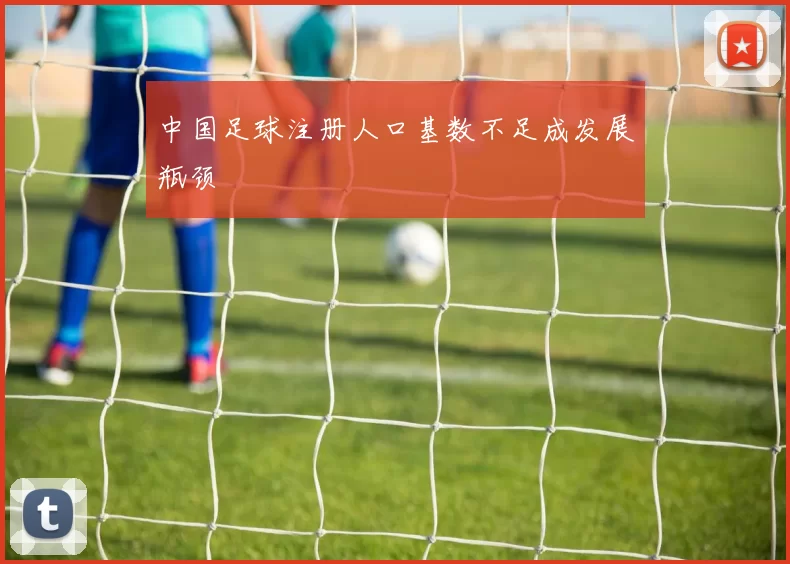 中国足球注册人口基数不足成发展瓶颈