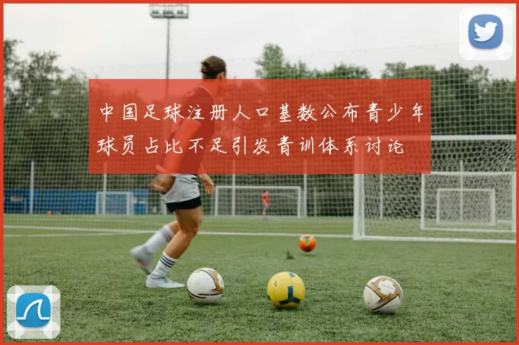 中国足球注册人口基数公布青少年球员占比不足引发青训体系讨论