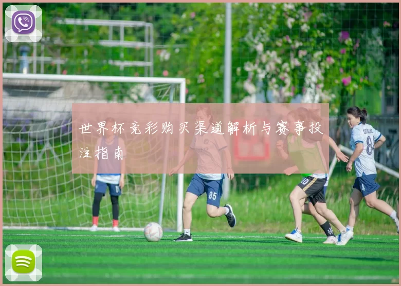 世界杯竞彩购买渠道解析与赛事投注指南
