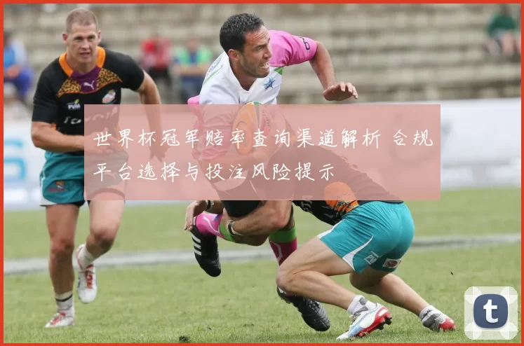 世界杯冠军赔率查询渠道解析 合规平台选择与投注风险提示
