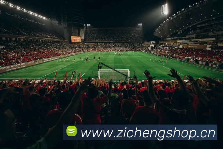 多媒体互动体验